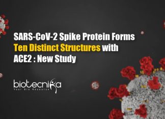 Study Unravels Ten Distinct Structures Formed By SARS-CoV-2 Spike Protein with ACE2 Ten Distinct Structures Formed by SARS-CoV-2 Spike Protein