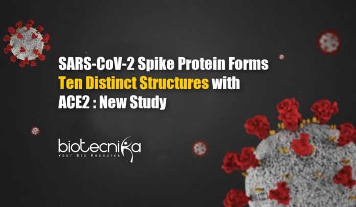 Ten Distinct Structures Formed by SARS-CoV-2 Spike Protein