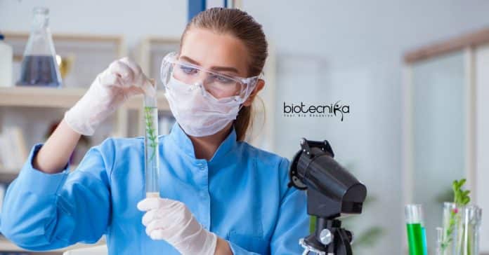 Thermo Fisher Latest Jobs
