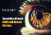 Scientists Create Artificial Functional Human Retinas In A Dish artificial human retinas