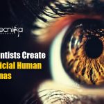 Scientists Create Artificial Functional Human Retinas In A Dish artificial human retinas