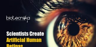 artificial human retinas