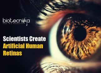 artificial human retinas