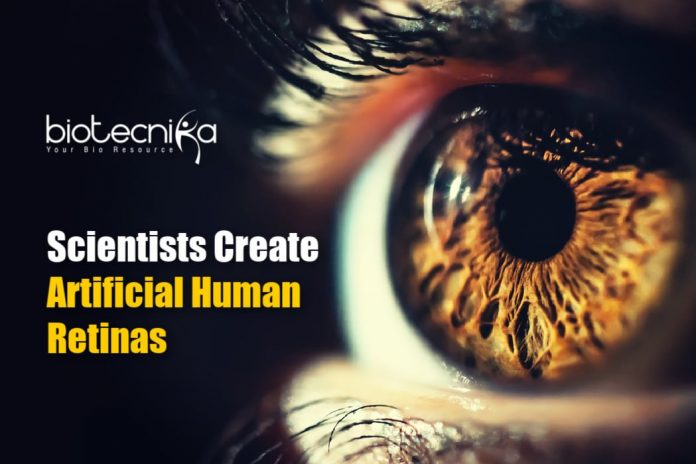 artificial human retinas