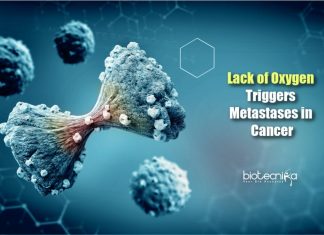 lack of oxygen trigger metastases