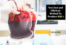 ‘SMART’ Scientists Develop Fast & Efficient Method to Manufacture RBCs new method to manufacture RBCs