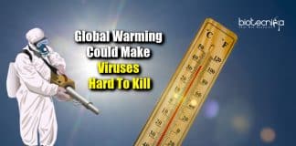 how global warming affect viruses