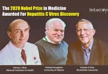 The 2020 Nobel Prize in Medicine Or Physiology Awarded For Hepatitis C Virus Discovery Noble Prize in Medicine 2020
