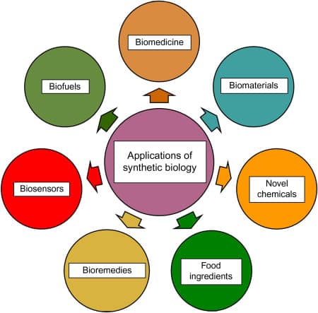 Biological Research Paper Topics