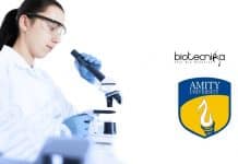 AIB Jobs