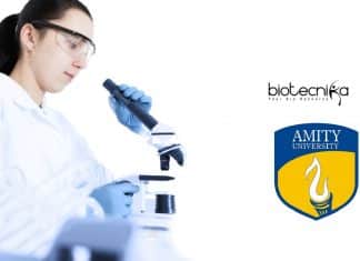 AIB Jobs