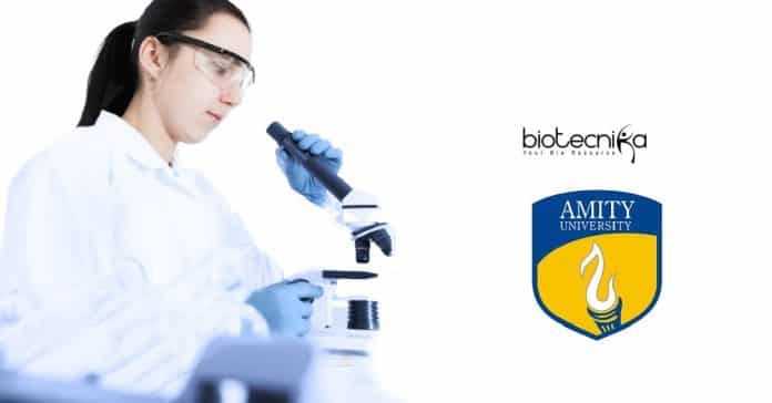 AIB Jobs