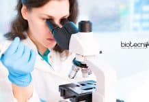 AIMMSCR, Amity University Project Assistant Job Opening AIMMSCR Amity University Job