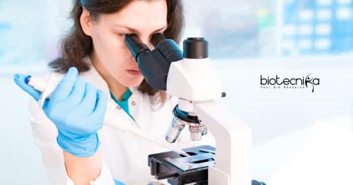 AIMMSCR Amity University Job