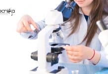 Alagappa University Biotech Junior Research Fellow Job Opening Alagappa University Biotech JRF