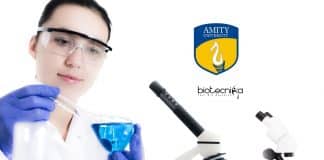 Amity JRF Jobs