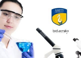 Amity JRF Jobs