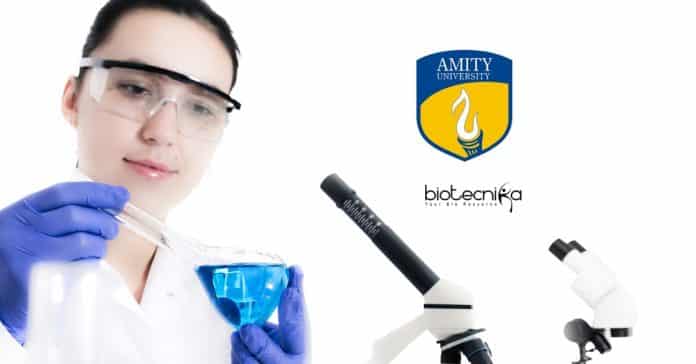 Amity JRF Jobs