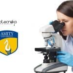 Amity Research Jobs