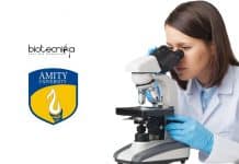 AIMMSCR Amity University Job – Junior Research Fellow Recruitment Amity Research Jobs