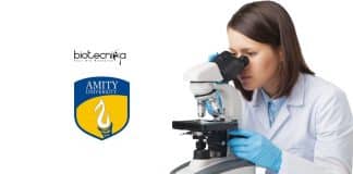 Amity Research Jobs