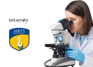 Amity Research Jobs