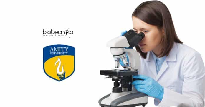 Amity Research Jobs