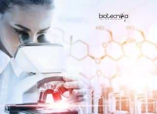 AIB-Amity University Life Science & Bioinformatics SRF Job Opening Amity University AIB Job