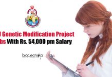 BHU Genetic Modification Project Jobs With Rs. 54,000 pm Salary BHU Biotech Vacancies