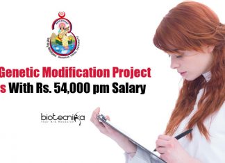 BHU Biotech Vacancies