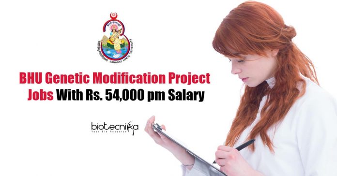 BHU Biotech Vacancies