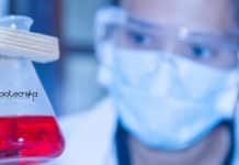 Banaras Hindu University JRF Job Opening – Biotech/Biochem/Life Science BHU Jobs For JRF