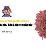 BITS Pilani Project Jobs