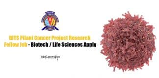BITS Pilani Project Jobs