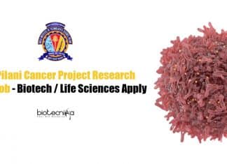 BITS Pilani Project Jobs