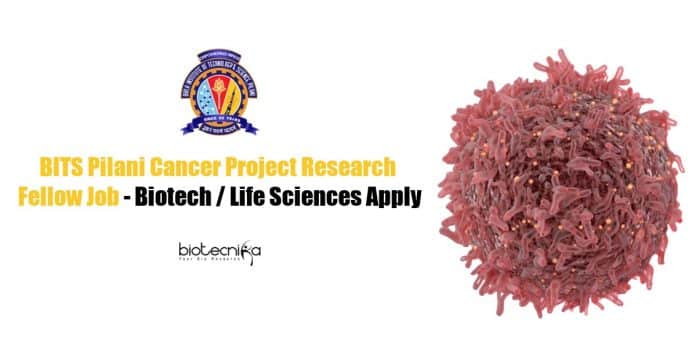 BITS Pilani Project Jobs