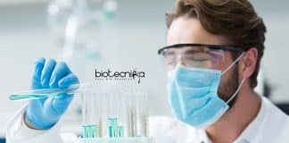 Bharathidasan University Research Jobs