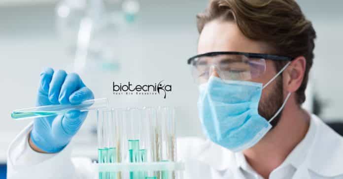 Bharathidasan University Research Jobs