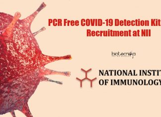 PCR Free COVID-19 Detection Kit Project Recruitment at NII Biology Research Fellow Job