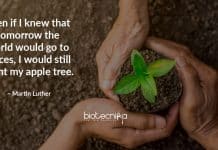 Biotecnika Times – Newsletter 07.10.2020 – 💰Rs 15 Lakh BIRAC SITARE Gandhian Grant, NICPR