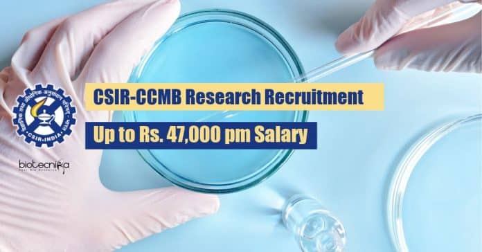 CCMB Research Recruitment 2020