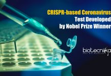 Nobel Prize Winner Develops 5 Minutes CRISPR-Based COVID-19 Test CRISPR based Coronavirus Test