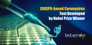 CRISPR based Coronavirus Test