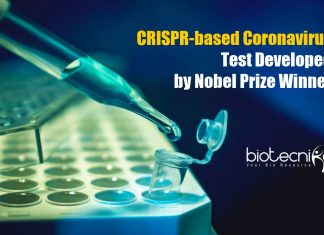 CRISPR based Coronavirus Test