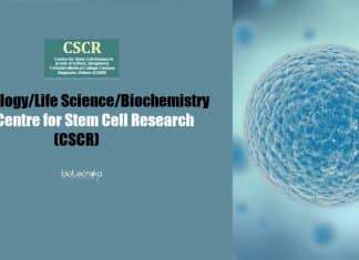 CSCR Jobs 2020