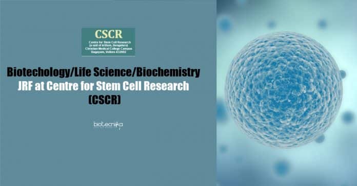 CSCR Jobs 2020