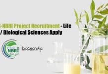 CSIR-NBRI Botany Jobs