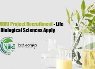 CSIR-NBRI Botany Jobs