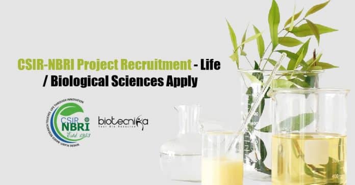 CSIR-NBRI Botany Jobs