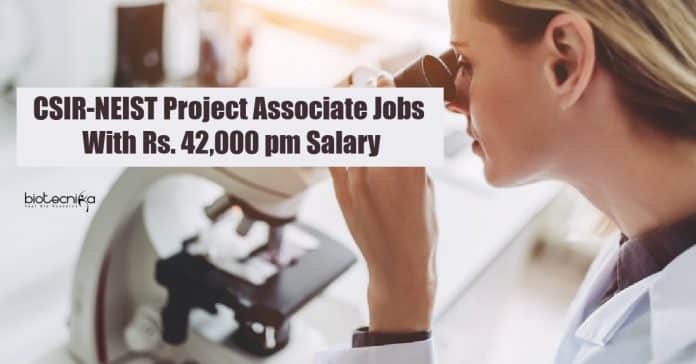 CSIR-NEIST Project Associate Jobs
